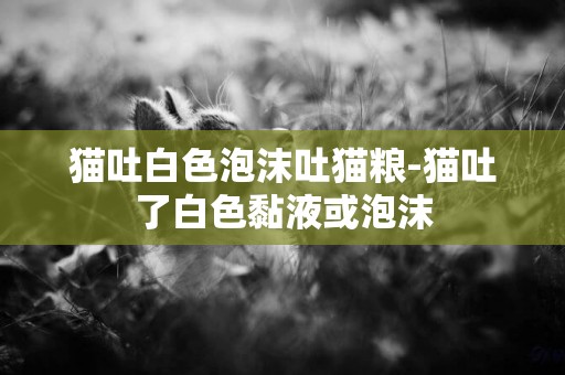 貓吐白色泡沫吐貓糧-貓吐了白色黏液或泡沫