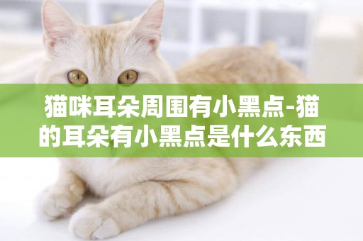 貓咪耳朵周圍有小黑點-貓的耳朵有小黑點是什么東西