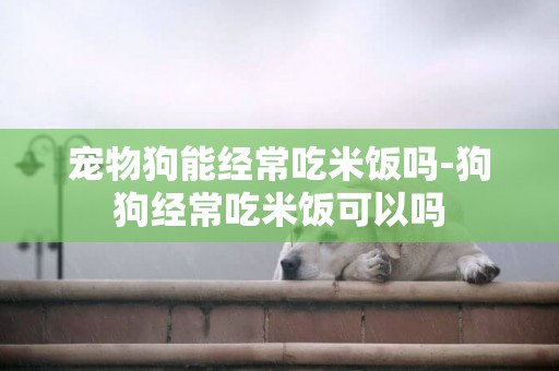 寵物狗能經常吃米飯嗎-狗狗經常吃米飯可以嗎