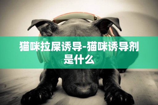 貓咪拉屎誘導-貓咪誘導劑是什么