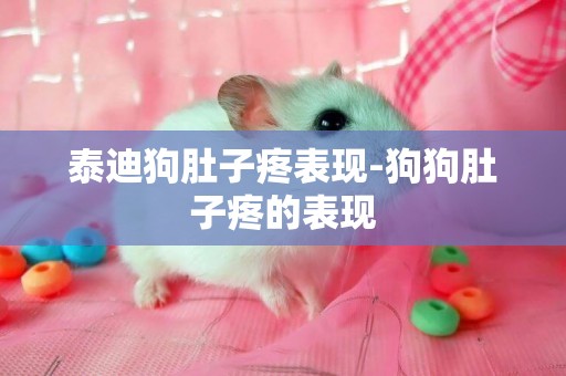 泰迪狗肚子疼表現-狗狗肚子疼的表現