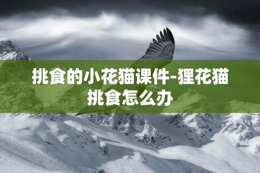 挑食的小花貓課件-貍花貓挑食怎么辦