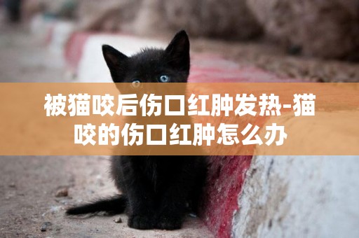 被貓咬后傷口紅腫發熱-貓咬的傷口紅腫怎么辦