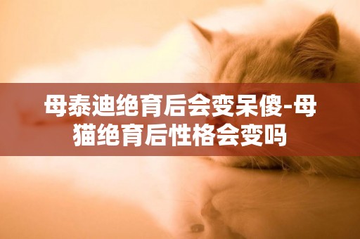 母泰迪絕育后會變呆傻-母貓絕育后性格會變嗎