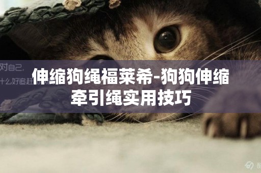 伸縮狗繩福萊希-狗狗伸縮牽引繩實用技巧