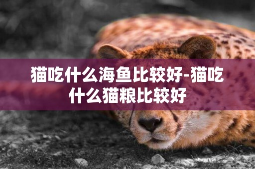貓吃什么海魚比較好-貓吃什么貓糧比較好