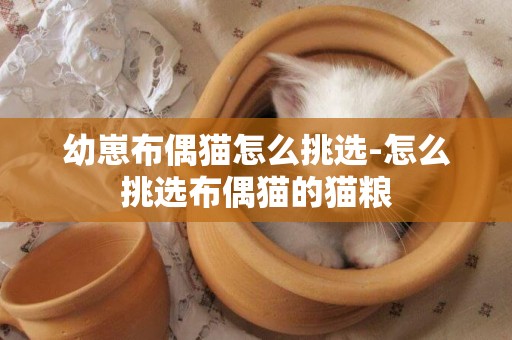 幼崽布偶貓怎么挑選-怎么挑選布偶貓的貓糧