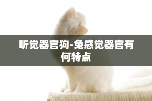 聽覺器官狗-兔感覺器官有何特點