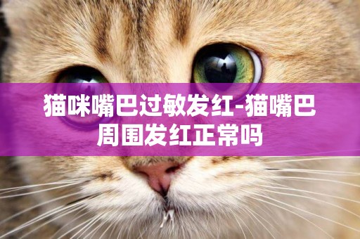 貓咪嘴巴過敏發紅-貓嘴巴周圍發紅正常嗎