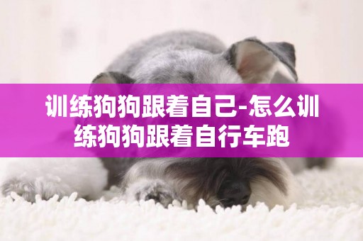 訓練狗狗跟著自己-怎么訓練狗狗跟著自行車跑