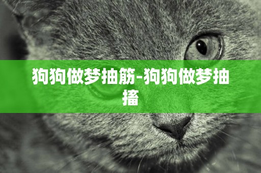狗狗做夢抽筋-狗狗做夢抽搐