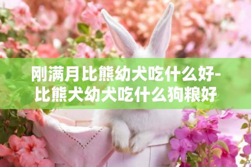 剛滿月比熊幼犬吃什么好-比熊犬幼犬吃什么狗糧好
