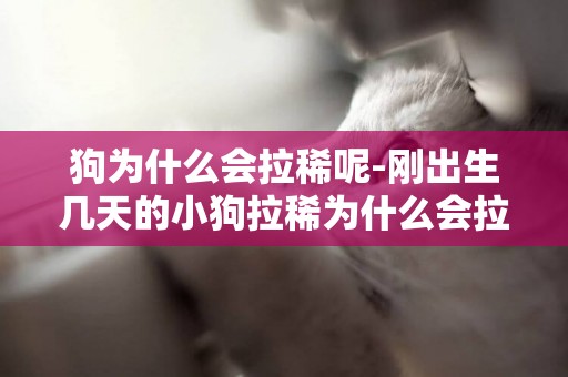 狗為什么會拉稀呢-剛出生幾天的小狗拉稀為什么會拉稀