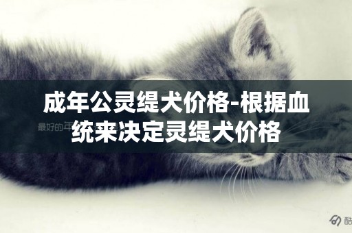 成年公靈緹犬價格-根據血統來決定靈緹犬價格