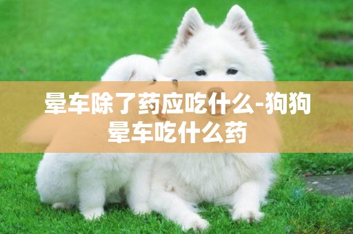 暈車除了藥應吃什么-狗狗暈車吃什么藥