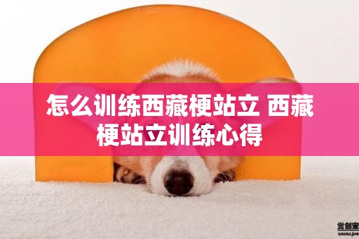 怎么訓練西藏梗站立 西藏梗站立訓練心得