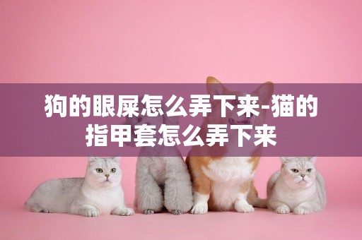 狗的眼屎怎么弄下來-貓的指甲套怎么弄下來