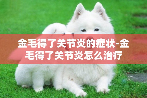 金毛得了關節炎的癥狀-金毛得了關節炎怎么治療