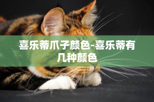 喜樂蒂爪子顏色-喜樂蒂有幾種顏色