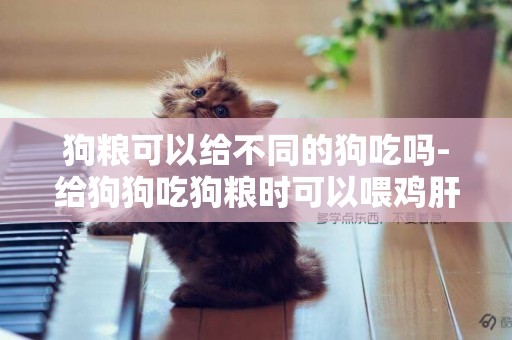狗糧可以給不同的狗吃嗎-給狗狗吃狗糧時可以喂雞肝嗎