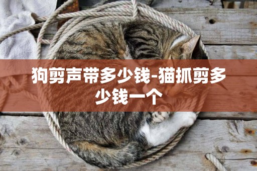 狗剪聲帶多少錢-貓抓剪多少錢一個