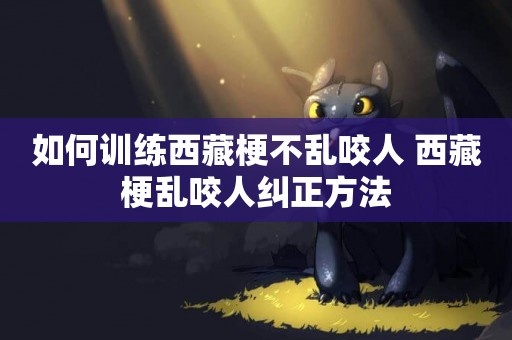 如何訓練西藏梗不亂咬人 西藏梗亂咬人糾正方法