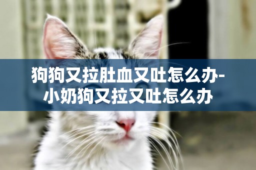 狗狗又拉肚血又吐怎么辦-小奶狗又拉又吐怎么辦
