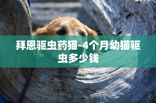 拜恩驅蟲藥貓-4個月幼貓驅蟲多少錢