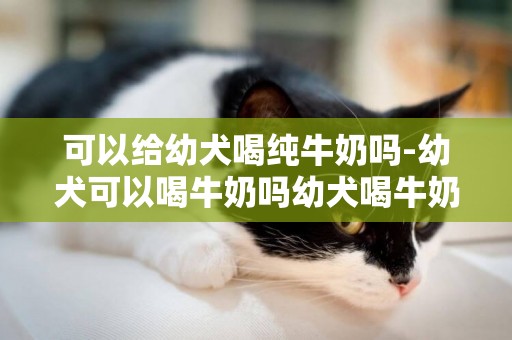 可以給幼犬喝純牛奶嗎-幼犬可以喝牛奶嗎幼犬喝牛奶拉肚子的原因