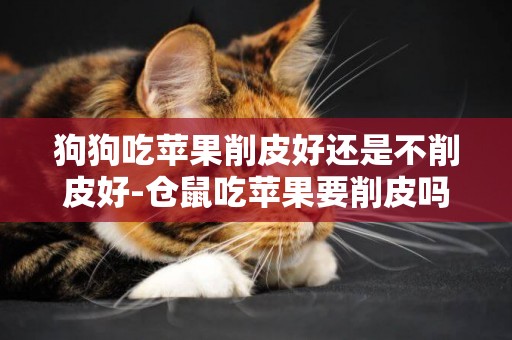 狗狗吃蘋果削皮好還是不削皮好-倉鼠吃蘋果要削皮嗎