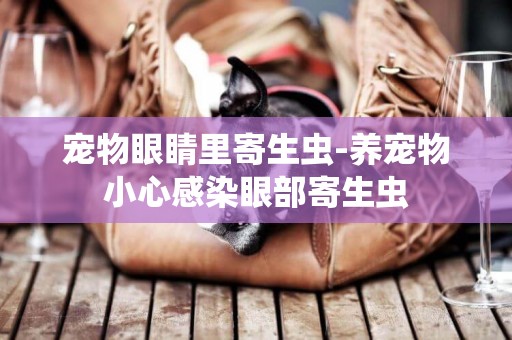 寵物眼睛里寄生蟲-養寵物小心感染眼部寄生蟲
