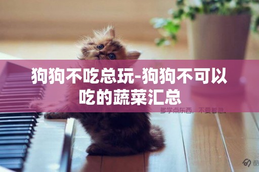 狗狗不吃總玩-狗狗不可以吃的蔬菜匯總
