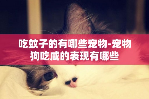 吃蚊子的有哪些寵物-寵物狗吃咸的表現有哪些