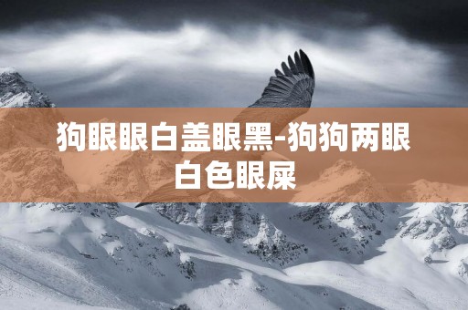 狗眼眼白蓋眼黑-狗狗兩眼白色眼屎