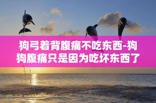 狗弓著背腹痛不吃東西-狗狗腹痛只是因為吃壞東西了