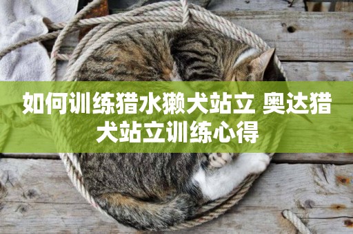 如何訓練獵水獺犬站立 奧達獵犬站立訓練心得