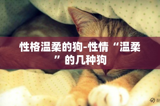 性格溫柔的狗-性情“溫柔”的幾種狗