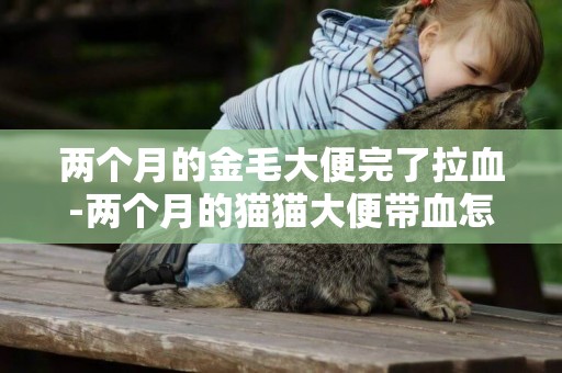 兩個月的金毛大便完了拉血-兩個月的貓貓大便帶血怎么辦
