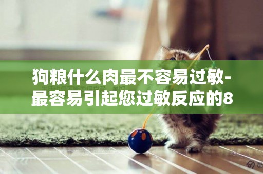 狗糧什么肉最不容易過敏-最容易引起您過敏反應的8個狗狗品種