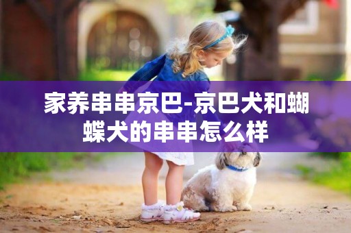 家養串串京巴-京巴犬和蝴蝶犬的串串怎么樣