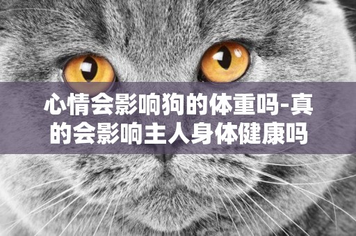 心情會影響狗的體重嗎-真的會影響主人身體健康嗎