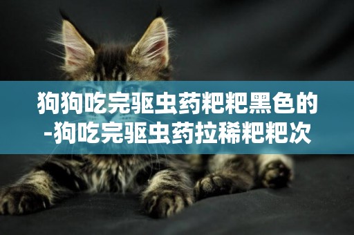 狗狗吃完驅蟲藥粑粑黑色的-狗吃完驅蟲藥拉稀粑粑次數多