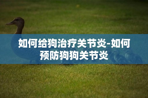 如何給狗治療關節炎-如何預防狗狗關節炎