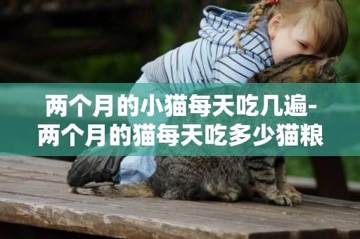 兩個月的小貓每天吃幾遍-兩個月的貓每天吃多少貓糧