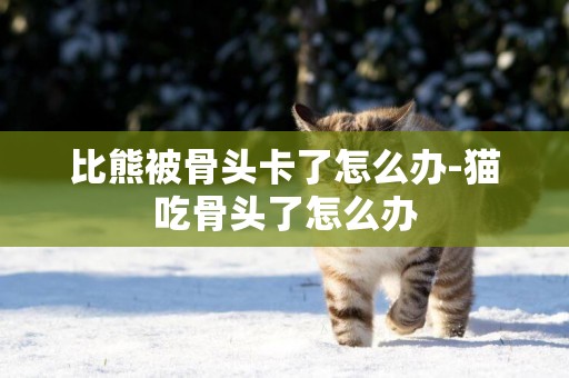 比熊被骨頭卡了怎么辦-貓吃骨頭了怎么辦