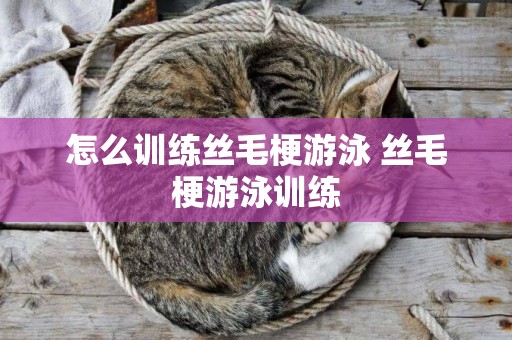 怎么訓練絲毛梗游泳 絲毛梗游泳訓練