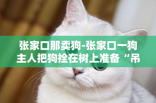 張家口那賣狗-張家口一狗主人把狗拴在樹上準備“吊死”