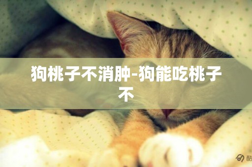 狗桃子不消腫-狗能吃桃子不
