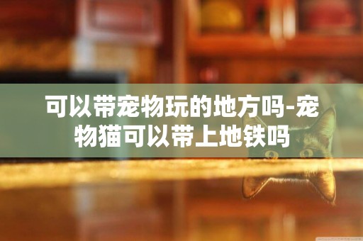 可以帶寵物玩的地方嗎-寵物貓可以帶上地鐵嗎