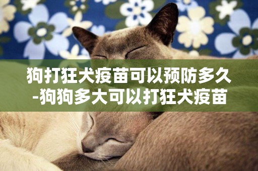 狗打狂犬疫苗可以預防多久-狗狗多大可以打狂犬疫苗